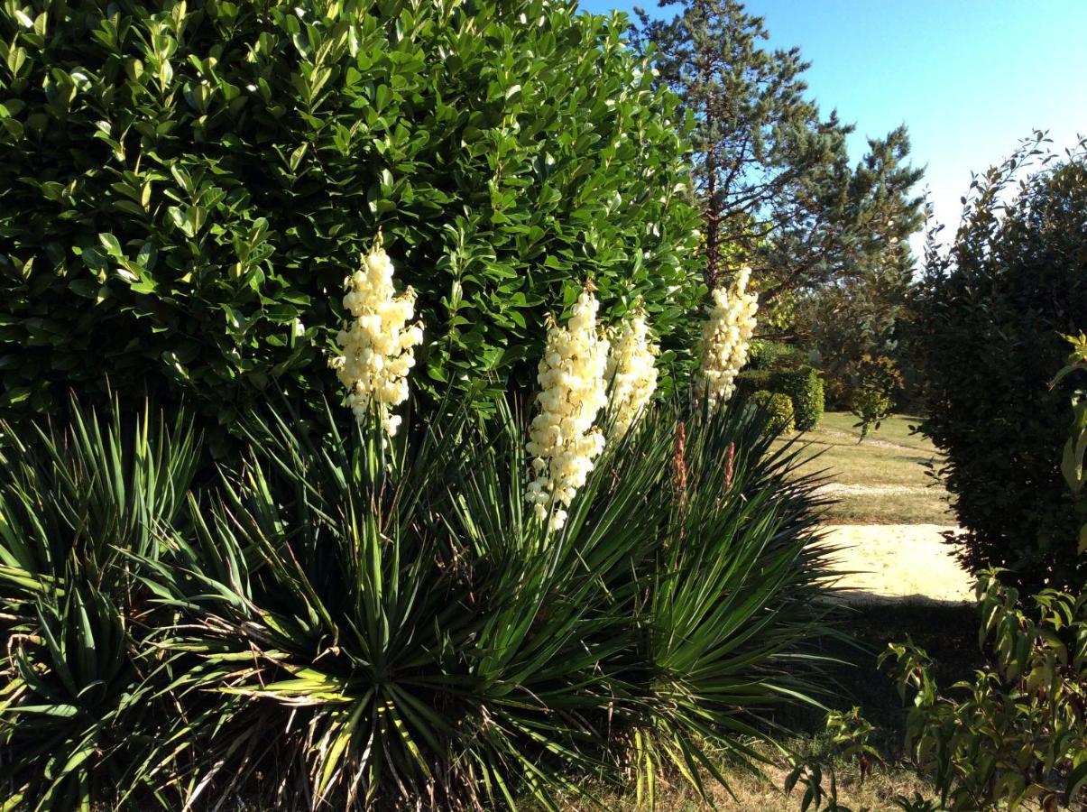 Bed and Breakfast La Manilau Le Buisson-de-Cadouin Exterior foto